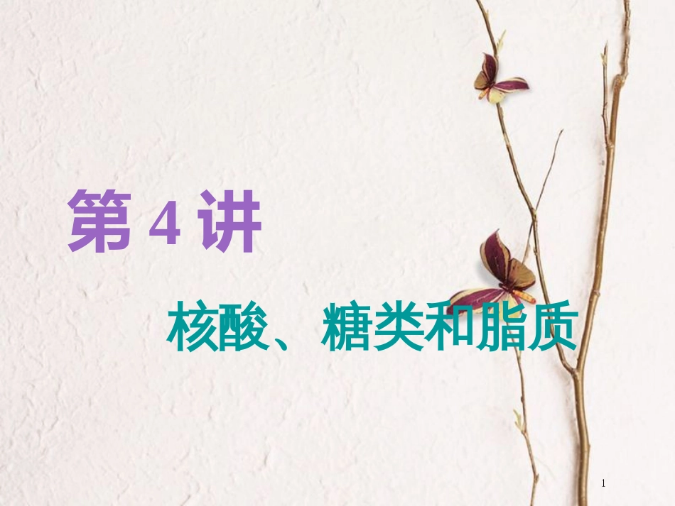 （全国通用版）2019版高考生物一轮复习 第1部分 分子与细胞 第一单元 细胞及其分子组成 第4讲 核酸、糖类和脂质精准备考实用课件_第1页