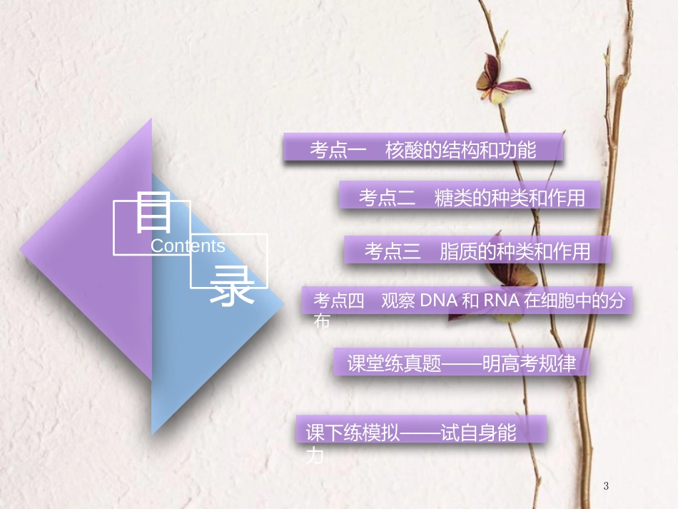 （全国通用版）2019版高考生物一轮复习 第1部分 分子与细胞 第一单元 细胞及其分子组成 第4讲 核酸、糖类和脂质精准备考实用课件_第3页