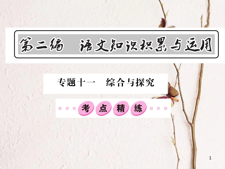 中考语文总复习 第2编 语文知识积累与运用 专题十一 综合与探究考点精练5课件 语文版_第1页