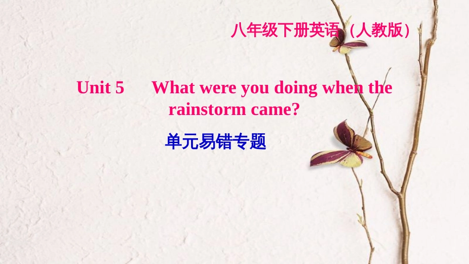 八年级英语下册 Unit 5 What were you doing when the rainstorm came易错专题习题课件 （新版）人教新目标版_第1页
