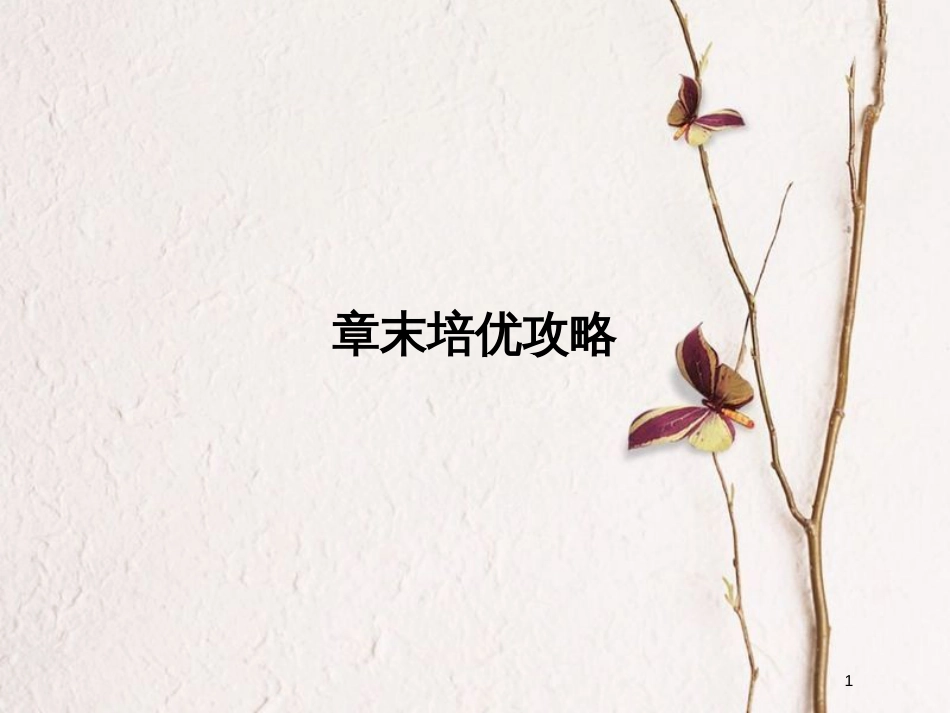 高中生物 第四章 遗传的分子基础章末培优攻略课件 苏教版必修2_第1页