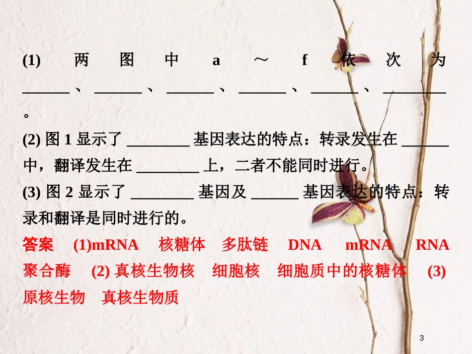 高中生物 第四章 遗传的分子基础章末培优攻略课件 苏教版必修2_第3页