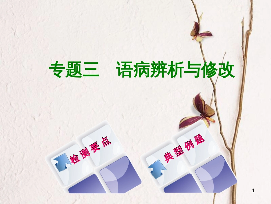湖南省2018年中考语文 专题三 语病辨析与修改复习课件_第1页