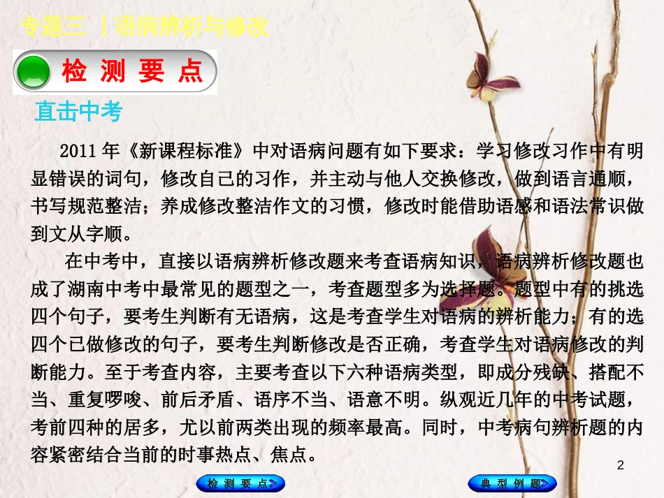 湖南省2018年中考语文 专题三 语病辨析与修改复习课件_第2页