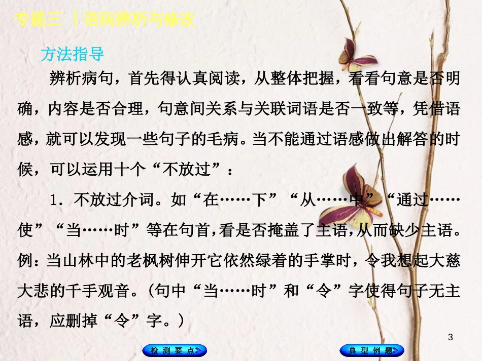 湖南省2018年中考语文 专题三 语病辨析与修改复习课件_第3页