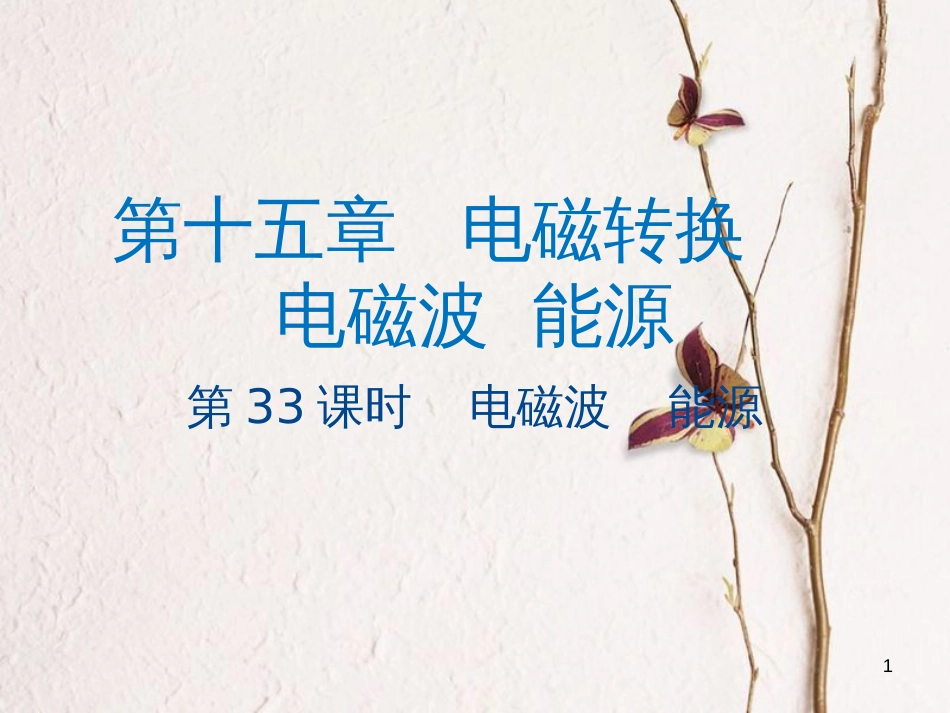 江苏省大丰市中考物理第33课时电磁波能源复习课件_第1页