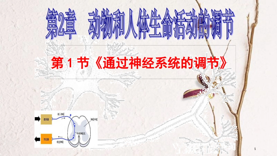 湖南省茶陵县高中生物 第二章 动物和人体生命活动的调节 2.1 通过神经系统的调节课件 新人教版必修3_第1页