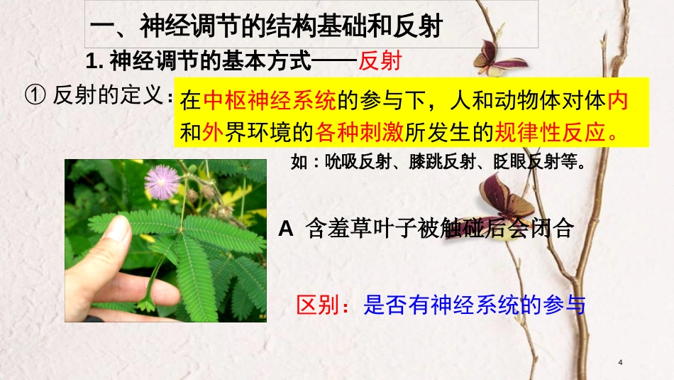 湖南省茶陵县高中生物 第二章 动物和人体生命活动的调节 2.1 通过神经系统的调节课件 新人教版必修3_第3页