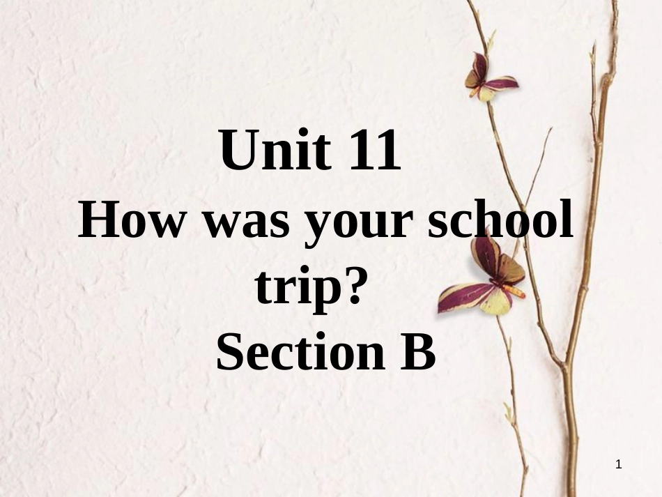 七年级英语下册 口头表达专练 Unit 11 How was your school trip Section B课件 （新版）人教新目标版_第1页