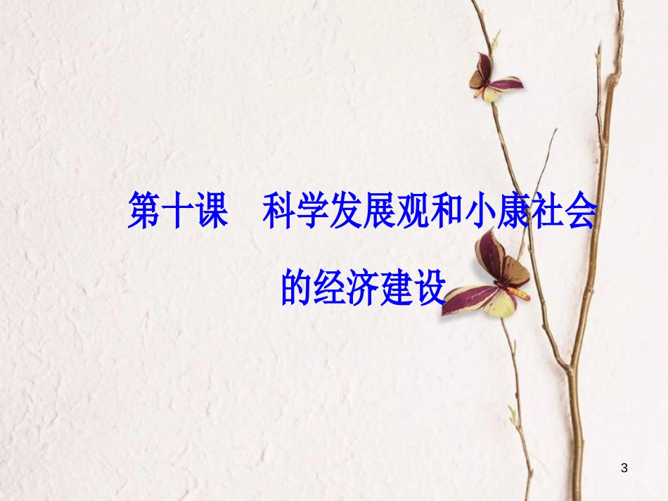2019版高考政治总复习 第四单元 发展社会主义市场经济 第十课 科学发展观和小康社会的经济建设课件 新人教版必修1_第3页