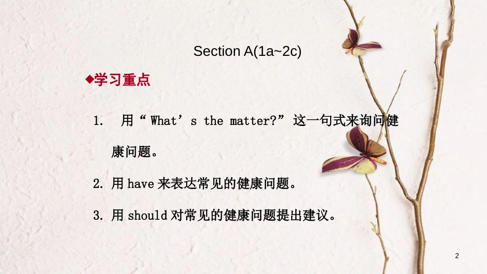 八年级英语下册 Unit 1 What’s the matter Section A（1a-2c）导学课件 （新版）人教新目标版_第2页