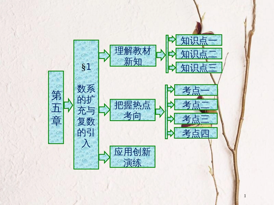 高中数学 第五章 数系的扩充与复数的引入 1 数系的扩充与复数的引入课件 北师大版选修2-2_第1页