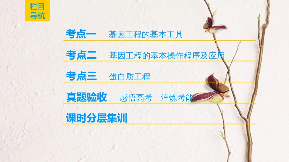 （全国版）2019版高考生物一轮复习 现代生物科技专题 第1讲 基因工程课件_第2页