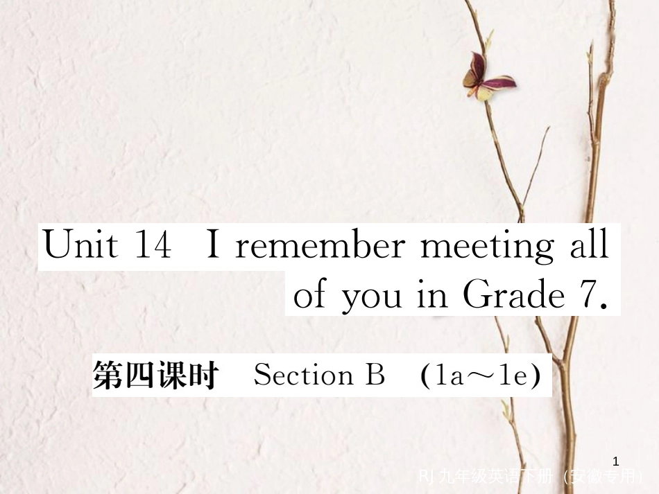 （安徽专版）九年级英语全册 Unit 14 I remember meeting all of you in Grade 7（第4课时）习题课件 （新版）人教新目标版_第1页