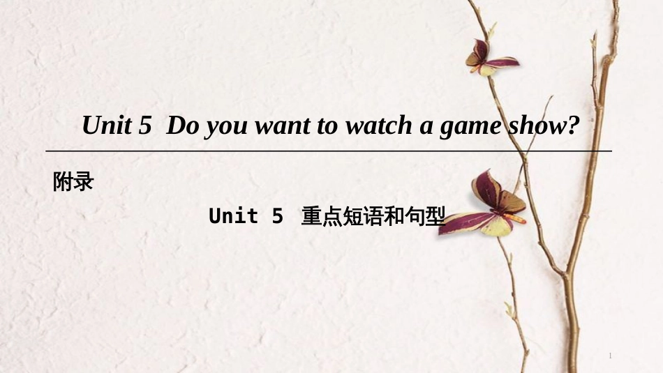 八年级英语上册 Unit 5 Do you want to watch a game show重点短语和句型课件 （新版）人教新目标版_第1页