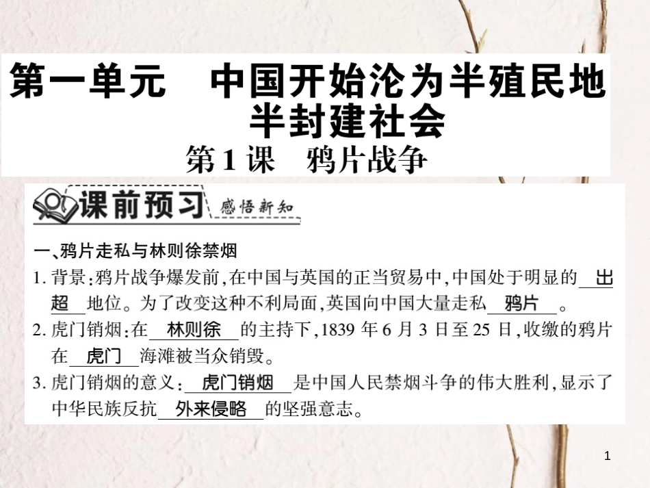 八年级历史上册 第一单元 中国开始沦为半殖民地半封建社会 第1课 鸦片战争习题课件 新人教版_第1页