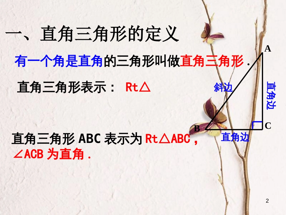 广东省河源市江东新区八年级数学下册 第一章 三角形的证明 1.2.1 直角三角形课件 （新版）北师大版_第2页