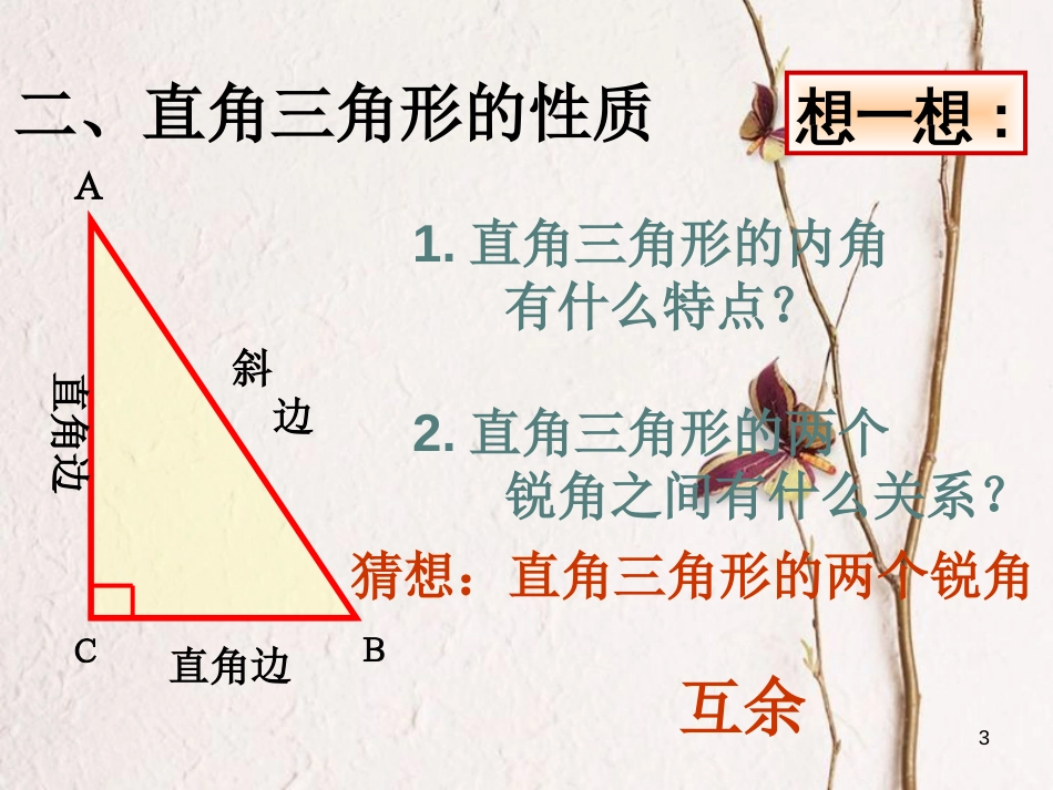 广东省河源市江东新区八年级数学下册 第一章 三角形的证明 1.2.1 直角三角形课件 （新版）北师大版_第3页