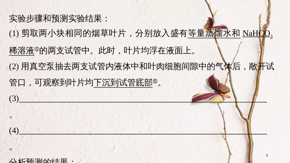 2019版生物高考大一轮复习 第三单元 细胞的能量代谢 实验技能二 实验方案的补充和完善课件 北师大版_第3页