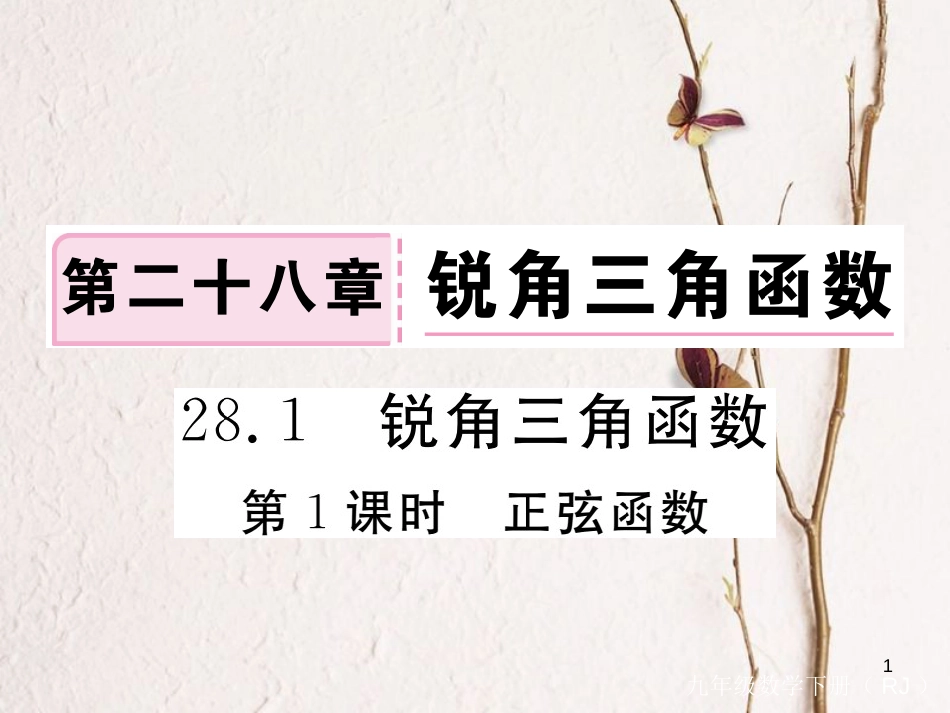 九年级数学下册 28 锐角三角函数 28.1 第1课时 正弦函数作业课件 （新版）新人教版_第1页