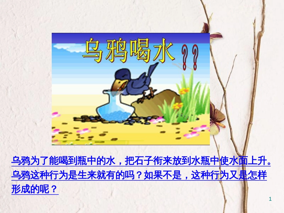 八年级生物上册 5.2.2 先天性行为和学习行为课件 （新版）新人教版_第1页