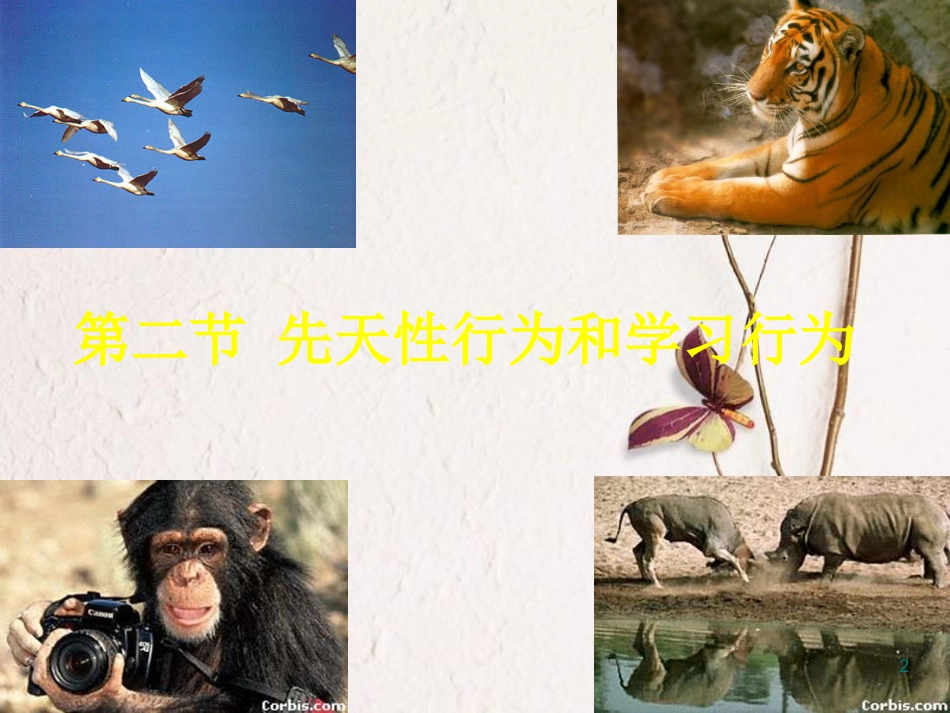 八年级生物上册 5.2.2 先天性行为和学习行为课件 （新版）新人教版_第2页