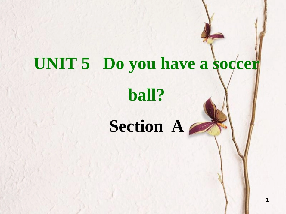七年级英语上册 Unit 5 Do you have a soccer ball Section A课件 （新版）人教新目标版_第1页