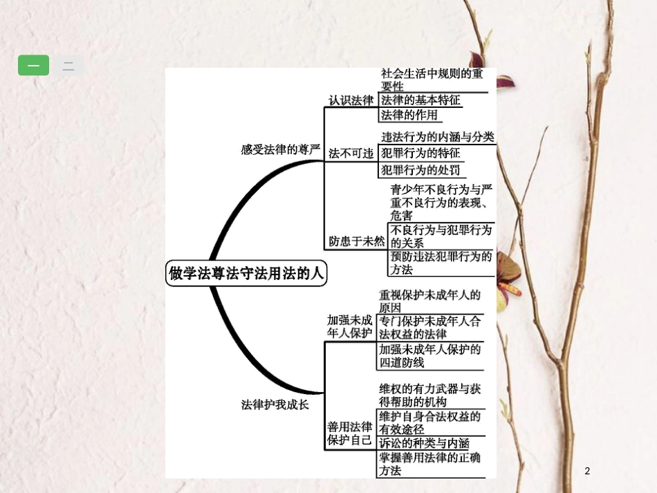 安徽省中考政治一轮复习 第一篇 知识方法固基 第二部分 七下 第四单元 做学法尊法守法用法的人课件_第2页