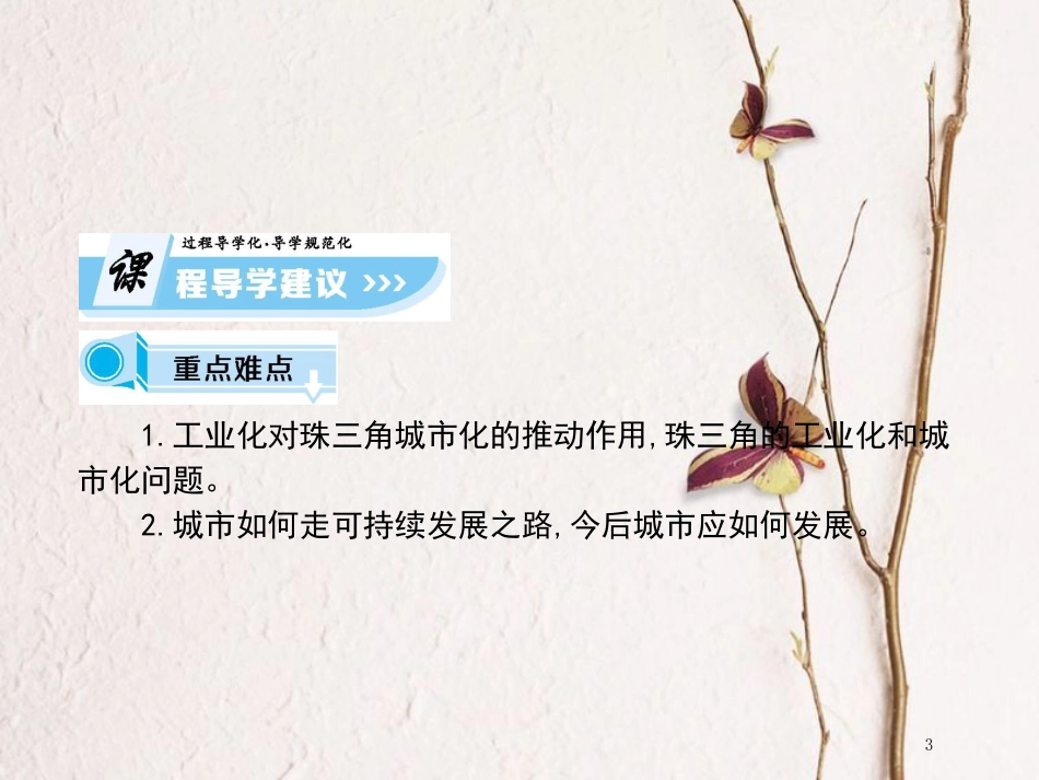 高中地理 第二章 区域可持续发展 第六节 区域工业化与城市化进程—以珠江三角洲为例（课时2）课件 湘教版必修3_第3页
