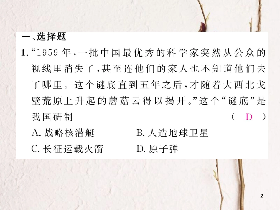 （河北专版）中考历史总复习 第12讲 中国现代科技、教育、文化与社会生活考点攻关练课件_第2页