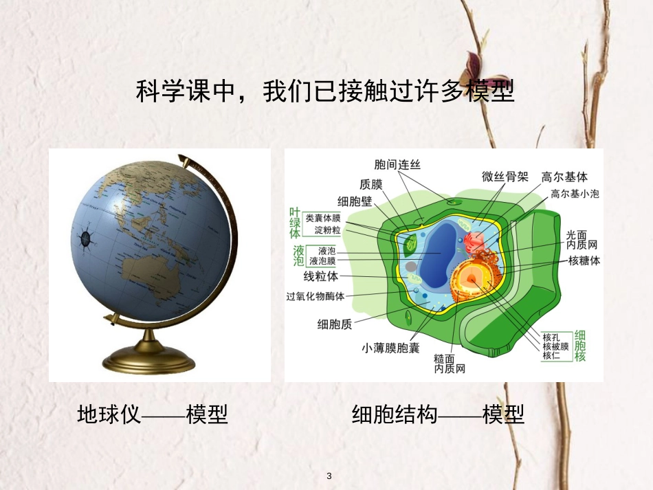 八年级科学下册 2.1 模型、符号的建立与作用课件 （新版）浙教版_第3页