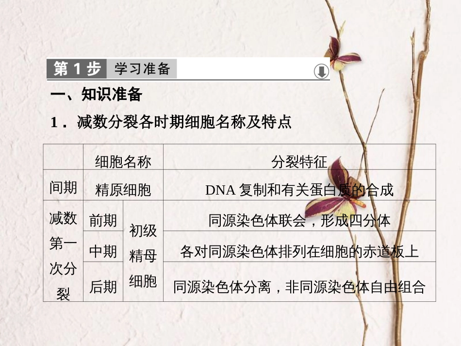 高中生物 第二章 基因和染色体的关系 第1节 减数分裂和受精作用第2课时课件 新人教版必修2_第2页