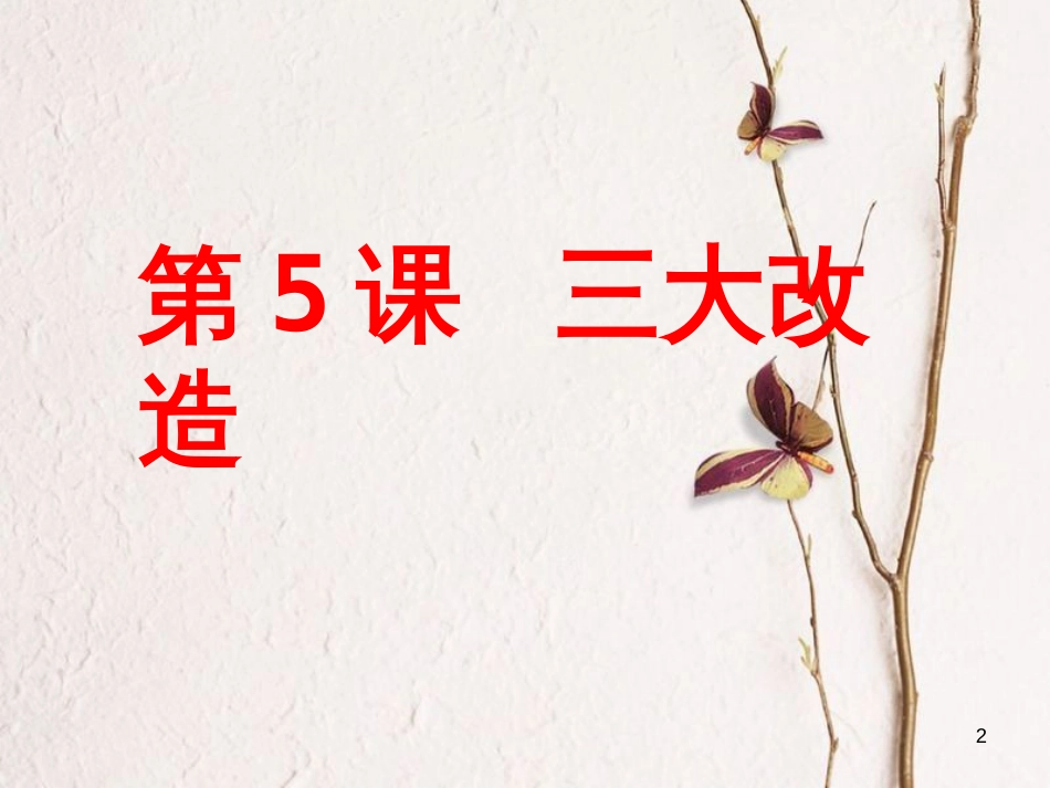 八年级历史下册 第二单元 社会主义制度的建立与社会主义建设的探索 第5课 三大改造课件6 新人教版_第2页
