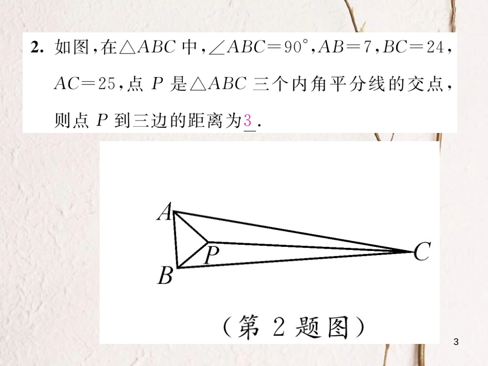 （毕节专版）八年级数学下册 第1章 三角形的证明 课题10 三角形内角的平分线当堂检测课件 （新版）北师大版_第3页