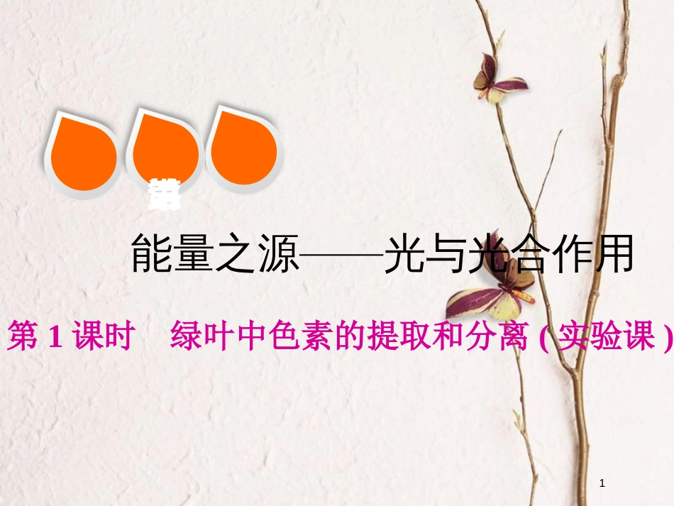 2019版高考生物一轮复习 第三单元 细胞的能量供应和利用 第三讲 第1课时 绿叶中色素的提取和分离(实验课)精选课件_第1页