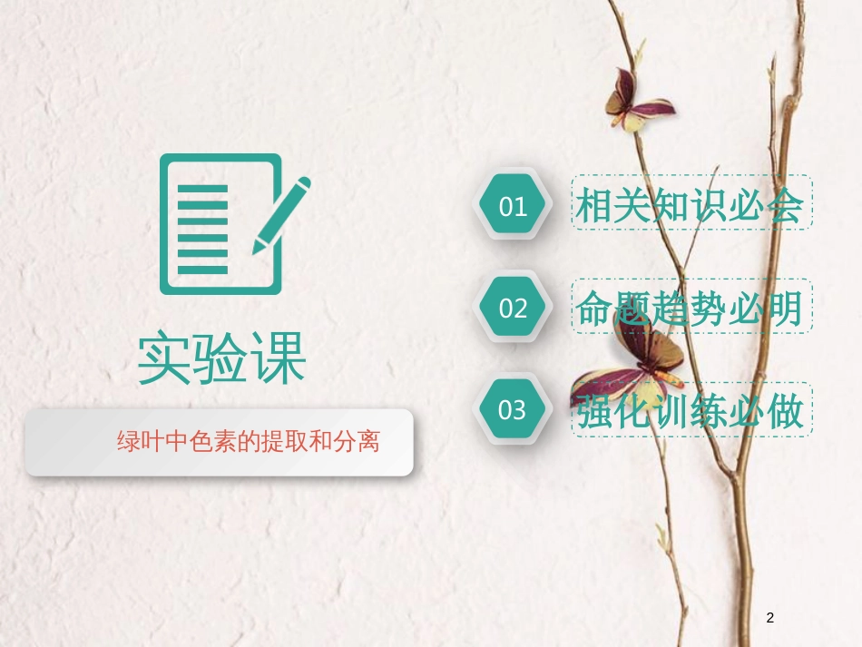 2019版高考生物一轮复习 第三单元 细胞的能量供应和利用 第三讲 第1课时 绿叶中色素的提取和分离(实验课)精选课件_第2页