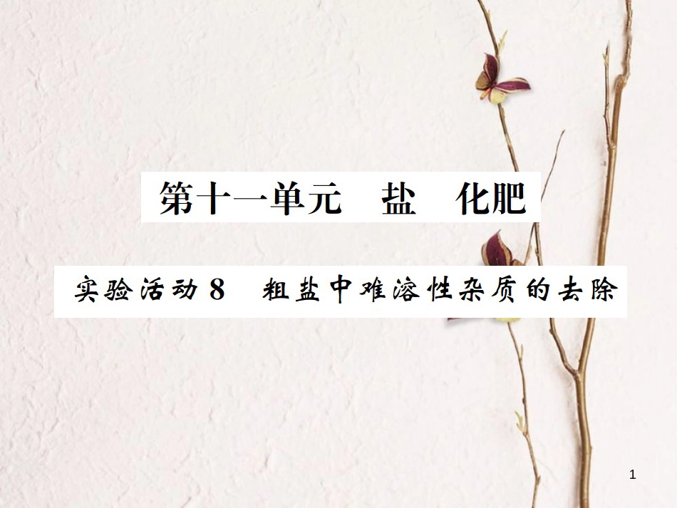 九年级化学下册 11 盐 化肥 实验活动8 粗盐中难溶性杂质的去除习题课件 （新版）新人教版_第1页