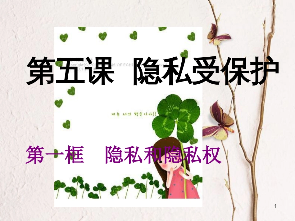 八年级政治下册 第二单元我们的人身权利 第四课 维护我们的人格尊严 隐私和隐私权课件 新人教版_第1页