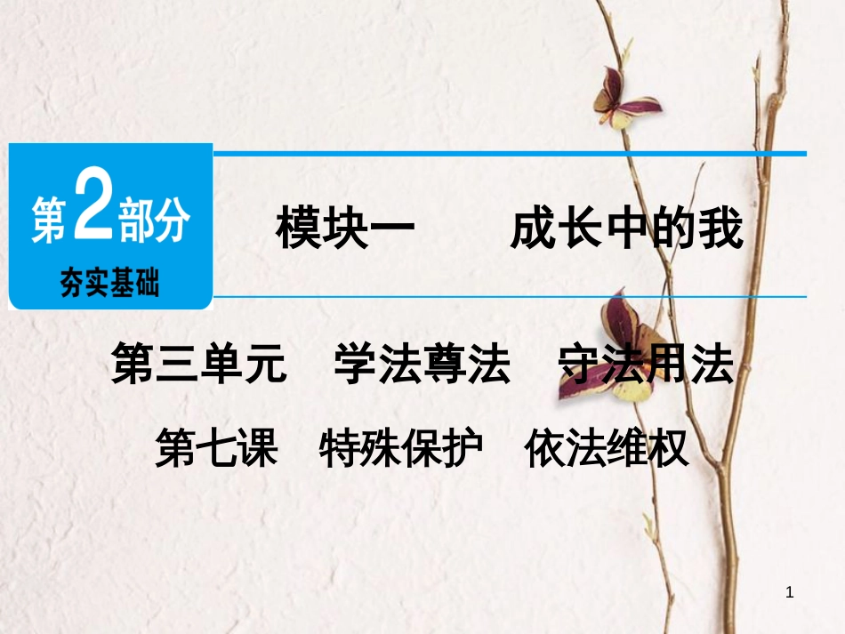 广东省年中考政治 第2部分 夯实基础 模块一 成长中的我 第三单元 学法尊法 守法用法 第7课 特殊保护 依法维权精讲课件_第1页