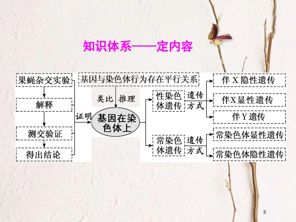 2019版高考生物一轮复习 第五单元 遗传的基本规律与伴性遗传 第三讲 基因在染色体上和伴性遗传精选课件_第3页