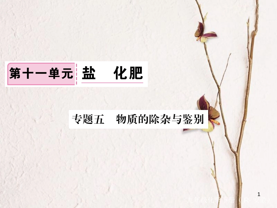 （安徽专版）九年级化学下册 专题五 物质的除杂与鉴别练习课件 （新版）新人教版_第1页