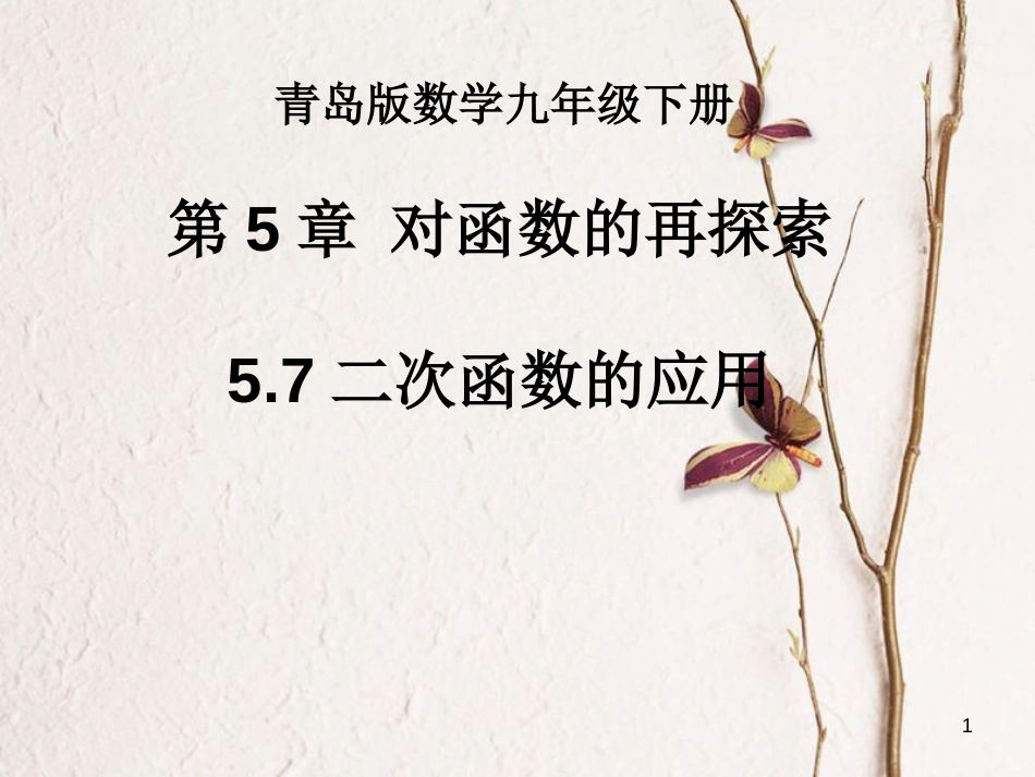 九年级数学下册 5.7 二次函数的应用课件 （新版）青岛版_第1页