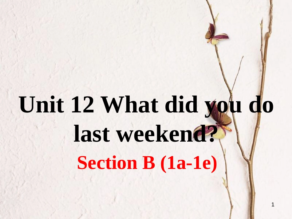 （安徽专版）七年级英语下册 Unit 12 What did you do last weekend Section B（第1课时）教学课件 （新版）人教新目标版_第1页