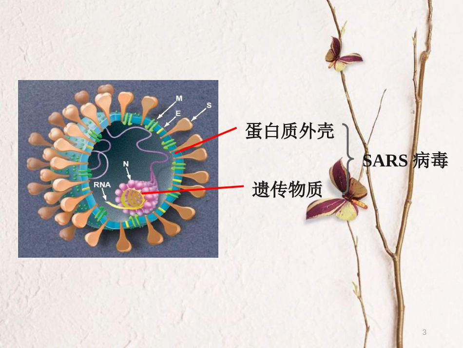 云南省峨山彝族自治县高中生物 第一章 走近细胞 1.1 从生物圈到细胞8课件 新人教版必修1_第3页