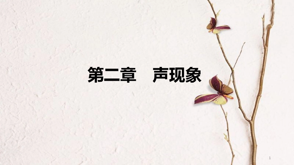 中考物理 基础过关复习 第二章 声现象课件 新人教版_第1页