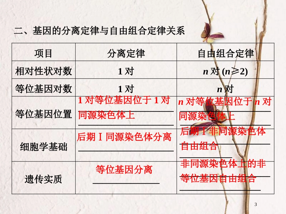 高中生物 第三章 遗传和染色体 第8课时 基因的自由组合定律的解题思路及应用课件 苏教版必修2_第3页