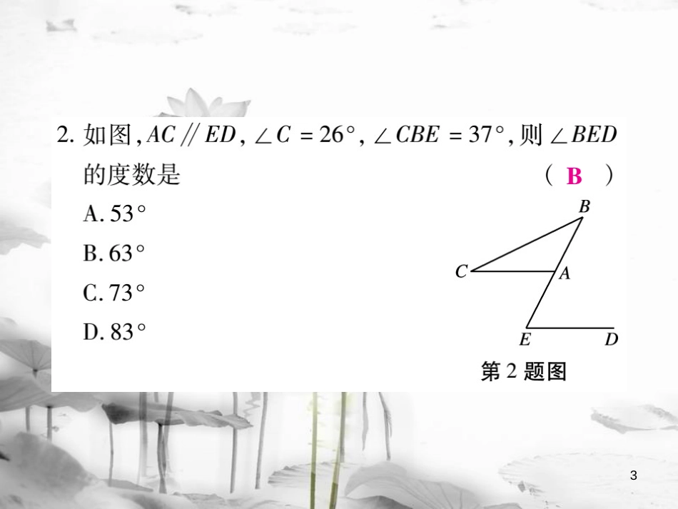 七年级数学下册 专题五 多边形习题课件 （新版）华东师大版_第3页