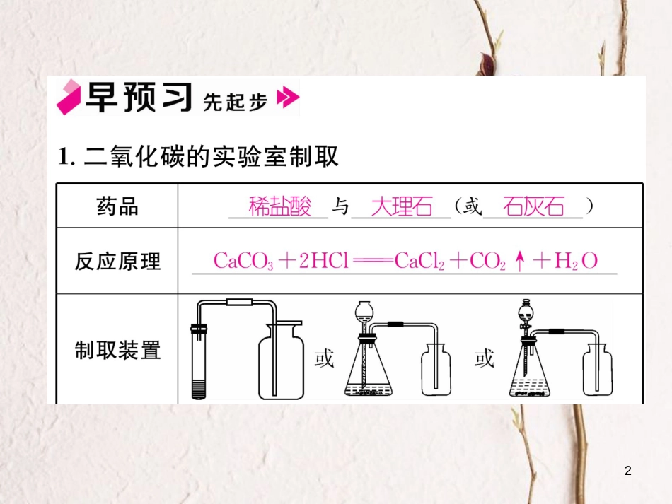 九年级化学上册 第六单元 碳和碳的氧化物 课题2 二氧化碳制取的研究习题课件 （新版）新人教版_第2页