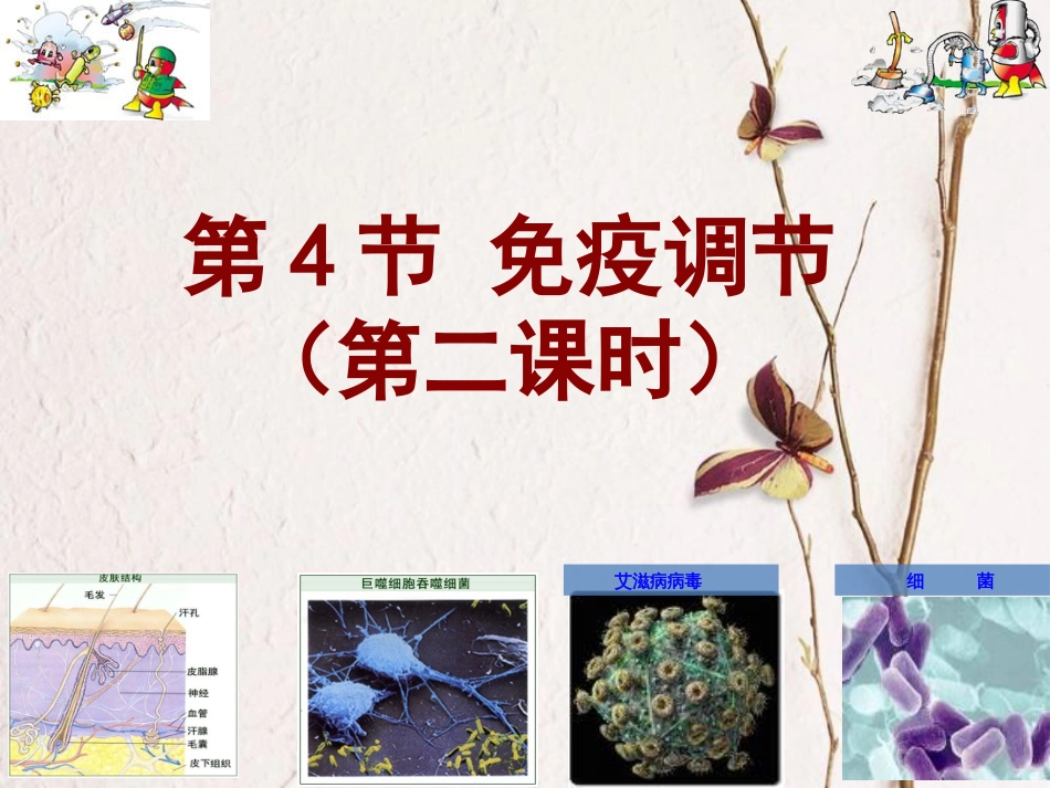 湖南省茶陵县高中生物 第二章 动物和人体生命活动的调节 2.4 免疫调节做课（带动画）课件 新人教版必修3_第1页