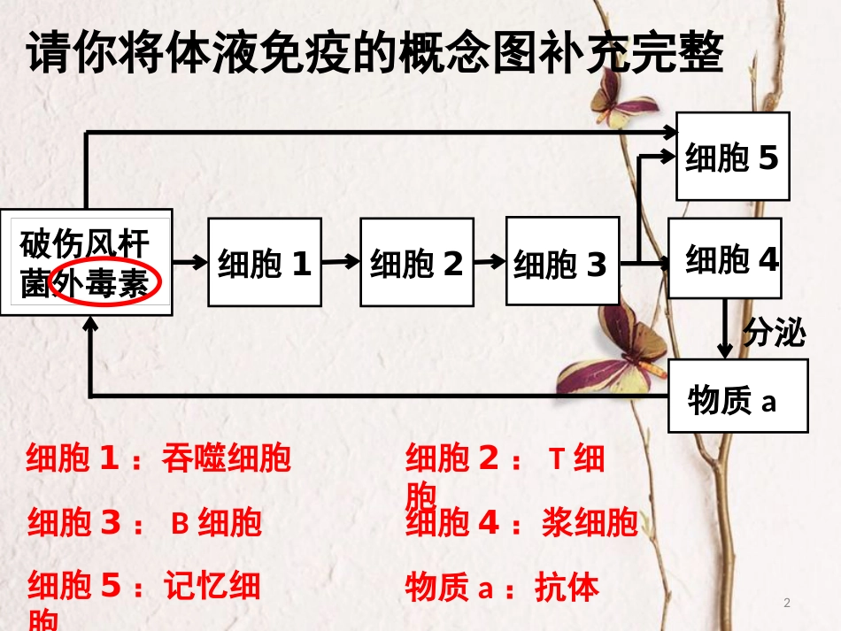 湖南省茶陵县高中生物 第二章 动物和人体生命活动的调节 2.4 免疫调节做课（带动画）课件 新人教版必修3_第2页